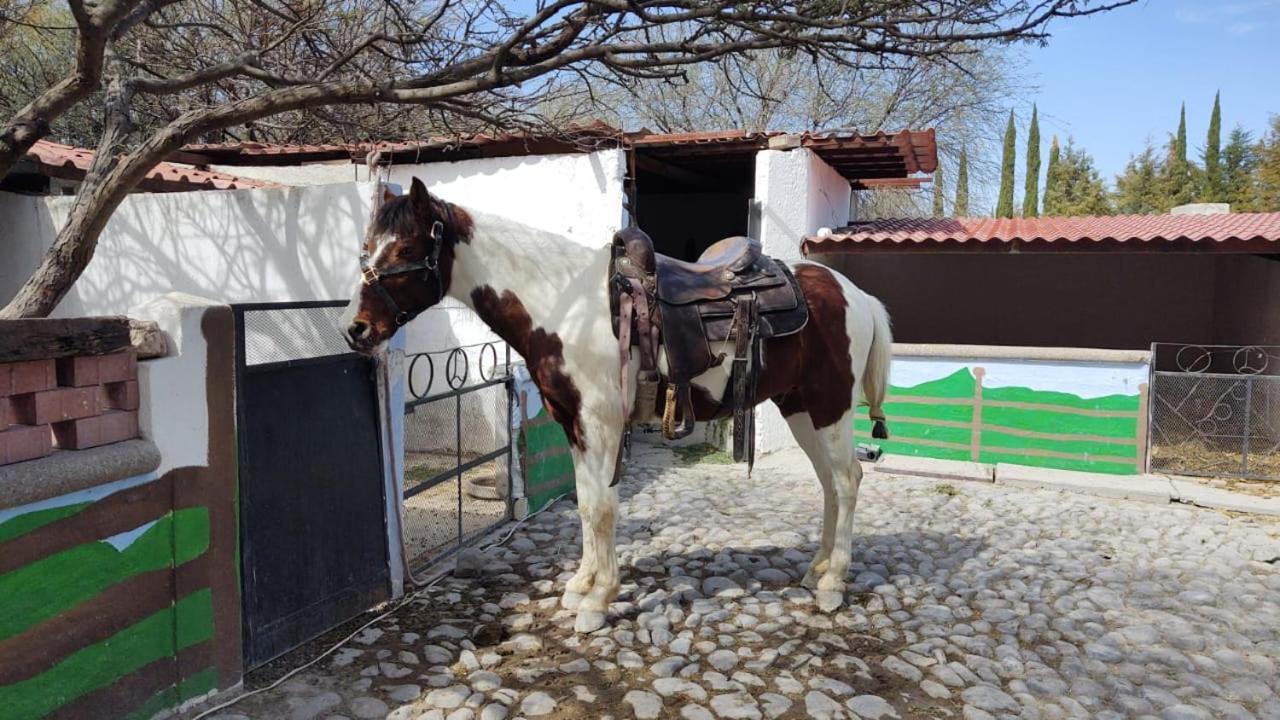 Rancho Labradores Atotonilco  Exterior photo